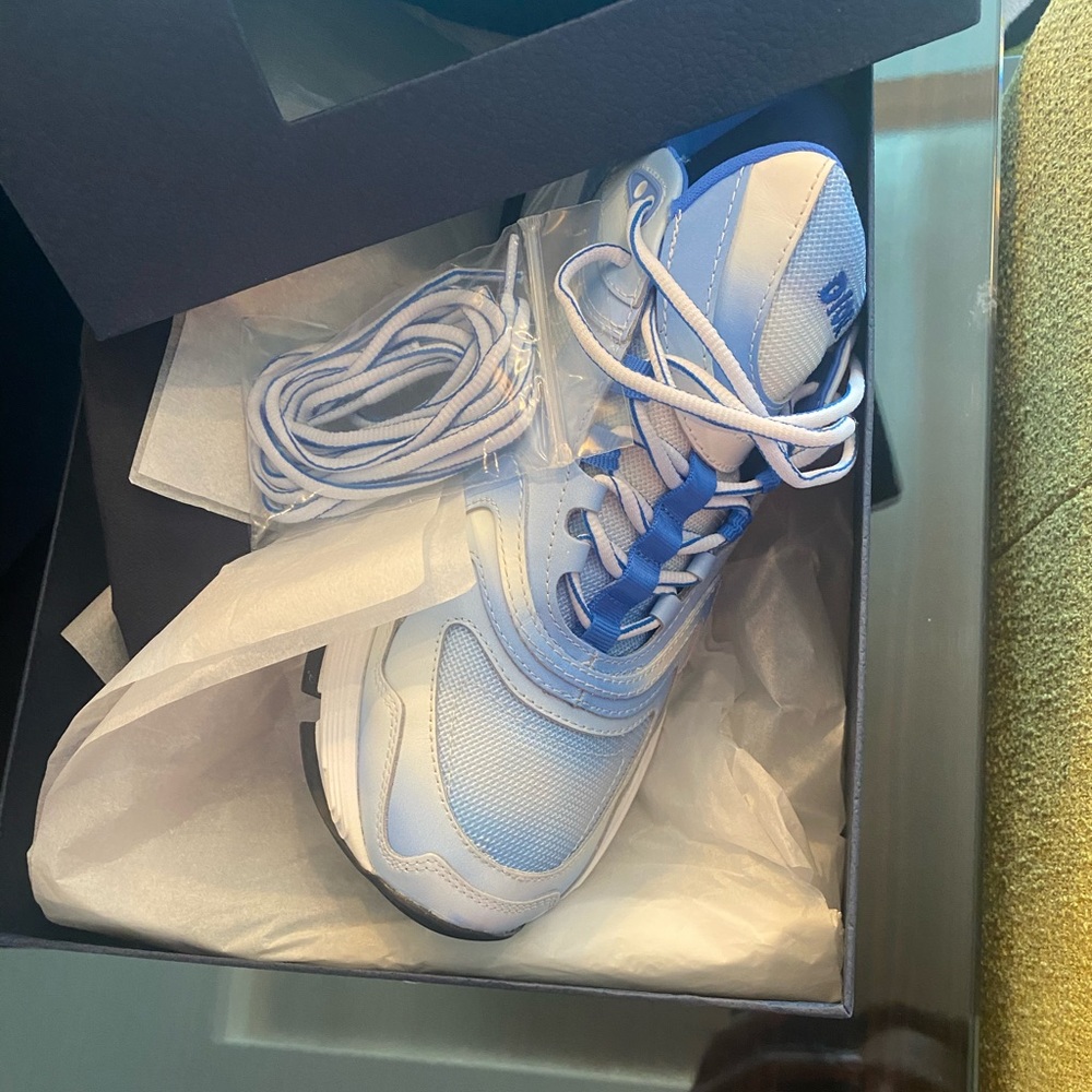 Dior b22 size 43